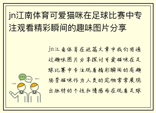 jn江南体育可爱猫咪在足球比赛中专注观看精彩瞬间的趣味图片分享